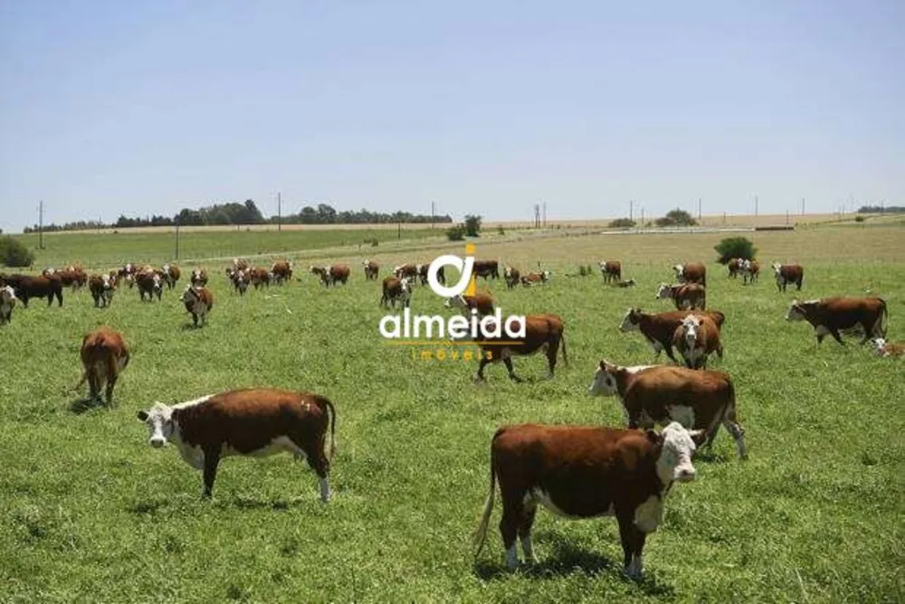 Loteamento e Condomínio, 345 hectares - Foto 1