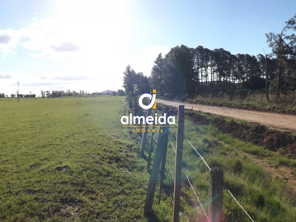 Terreno, 39 hectares - Foto 4