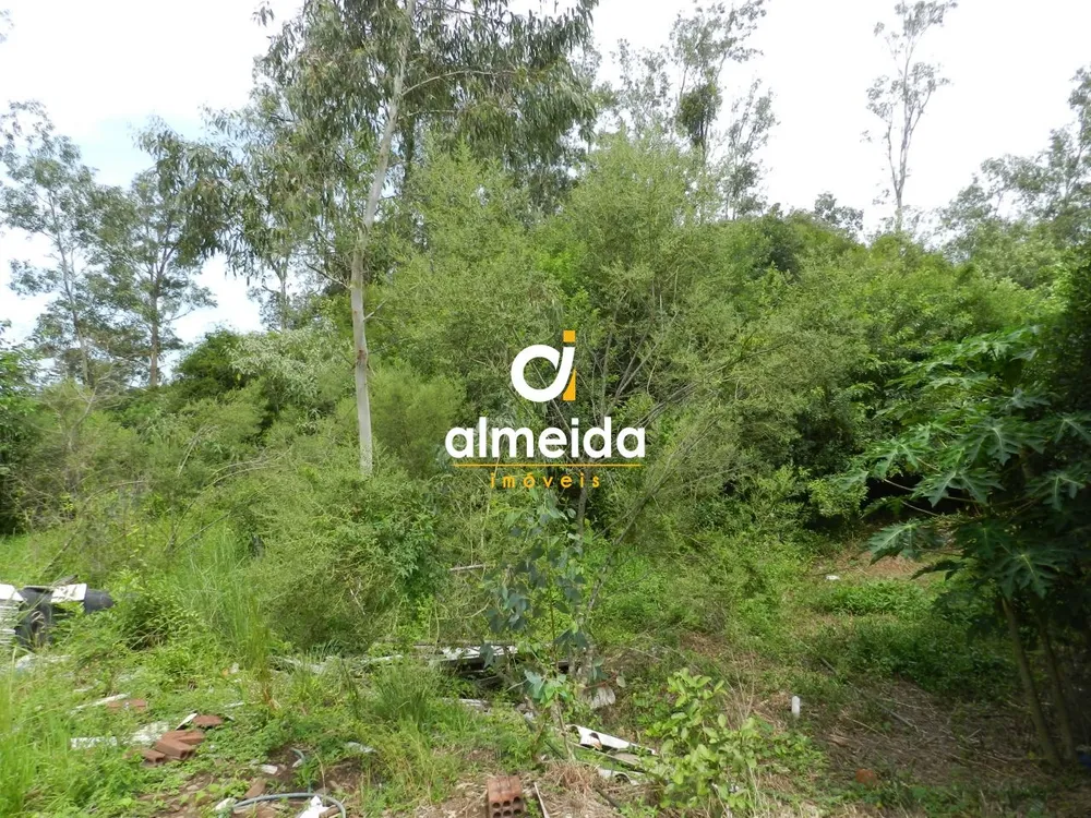Terreno, 1536 m² - Foto 1