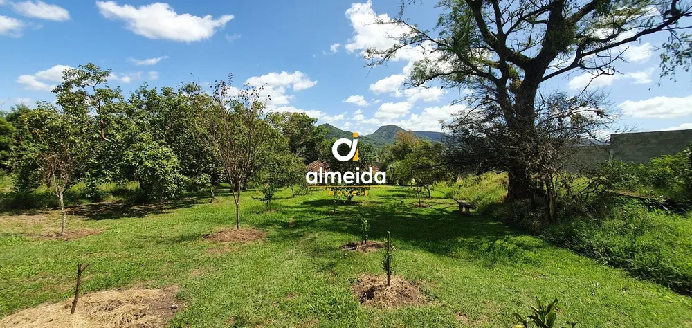 Terreno, 6000 m² - Foto 4