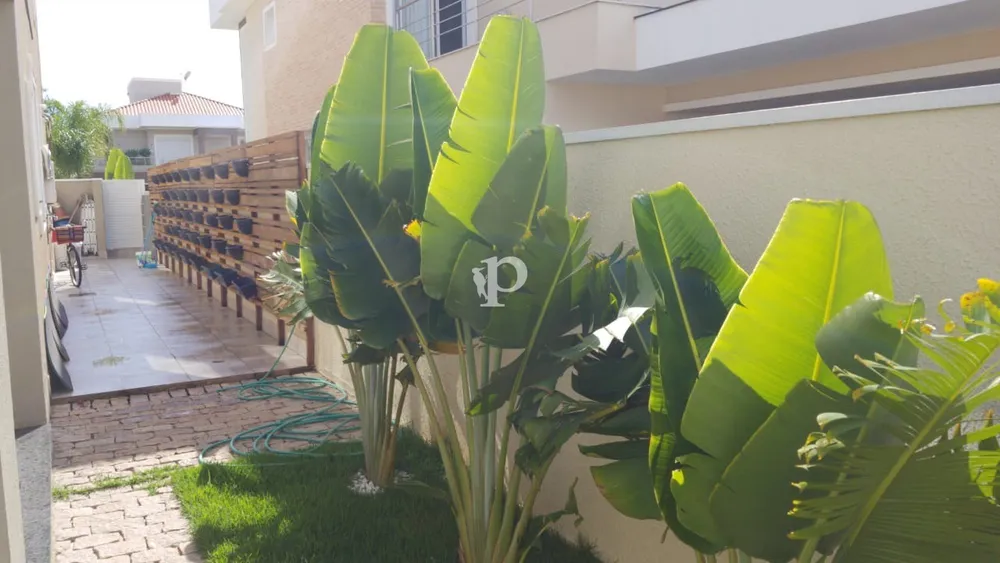 Casa, 5 quartos - Foto 6