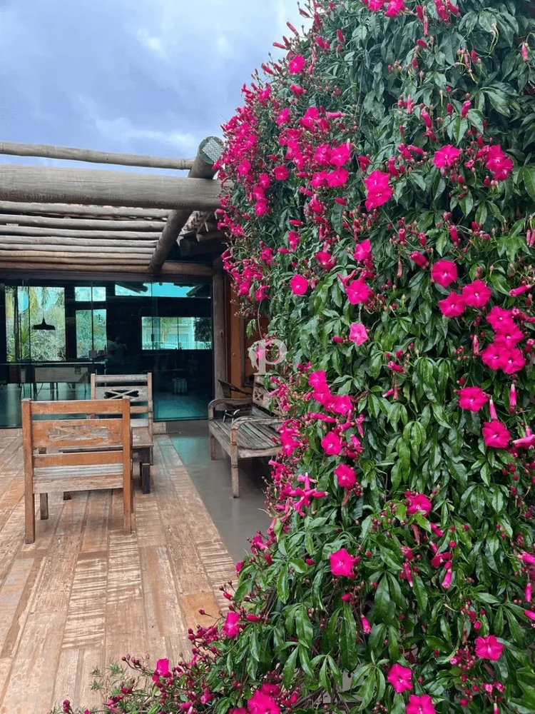 Chácara, 4 quartos, 1400 m² - Foto 9