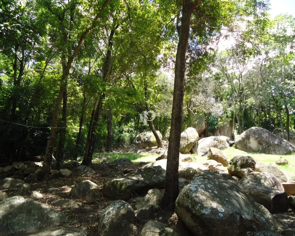 Sítio, 3 quartos, 3 hectares - Foto 20