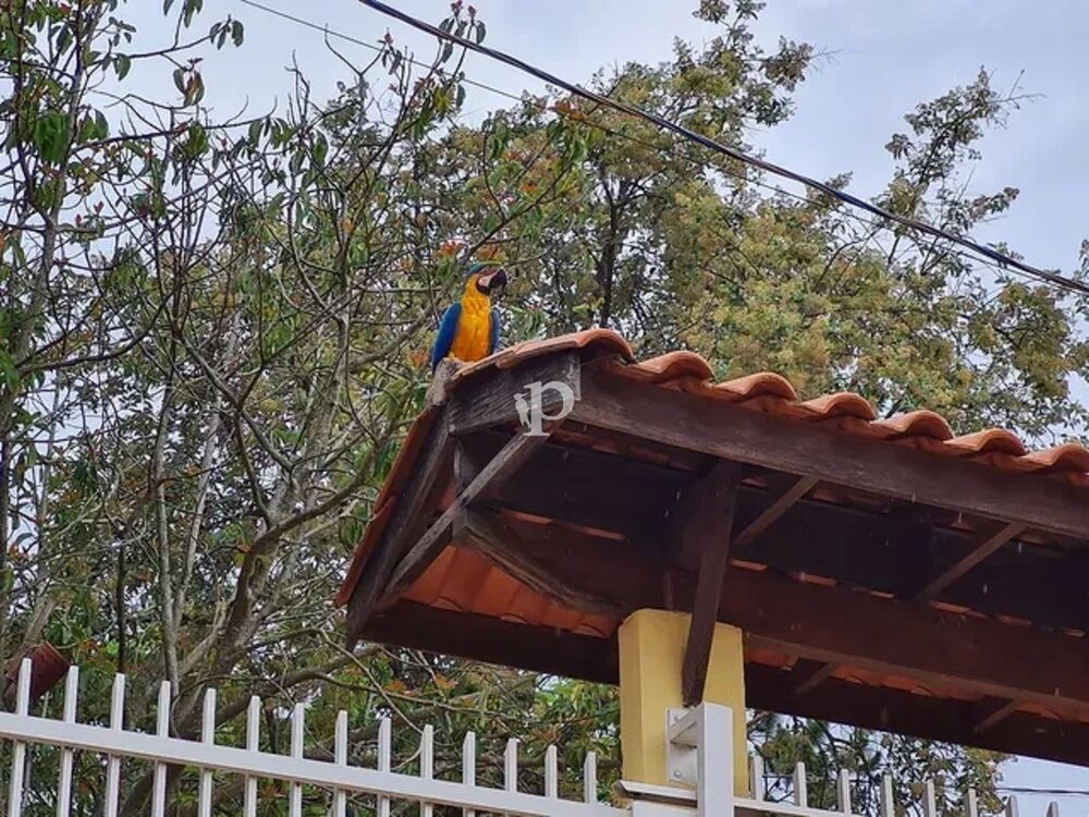 Chácara, 3 quartos, 800 m² - Foto 4