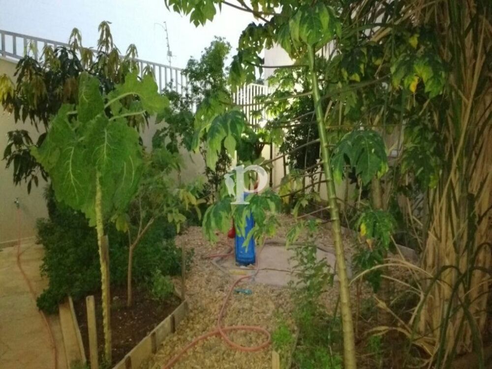 Casa, 5 quartos - Foto 6