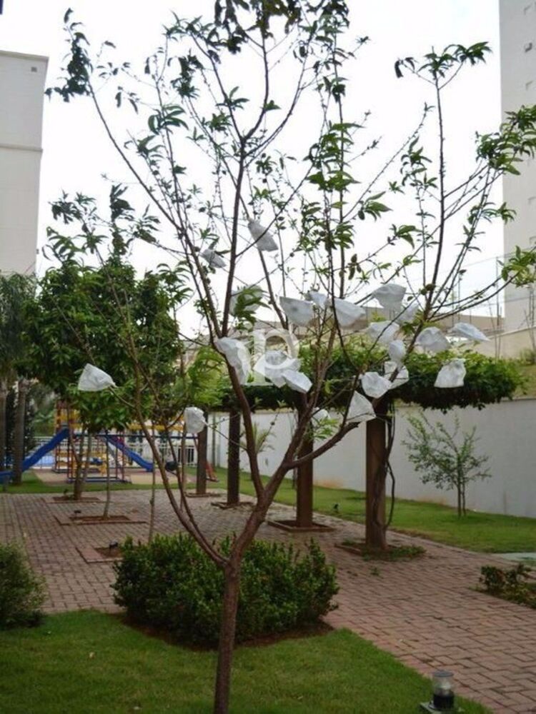 Apartamento, 2 quartos, 69 m² - Foto 2
