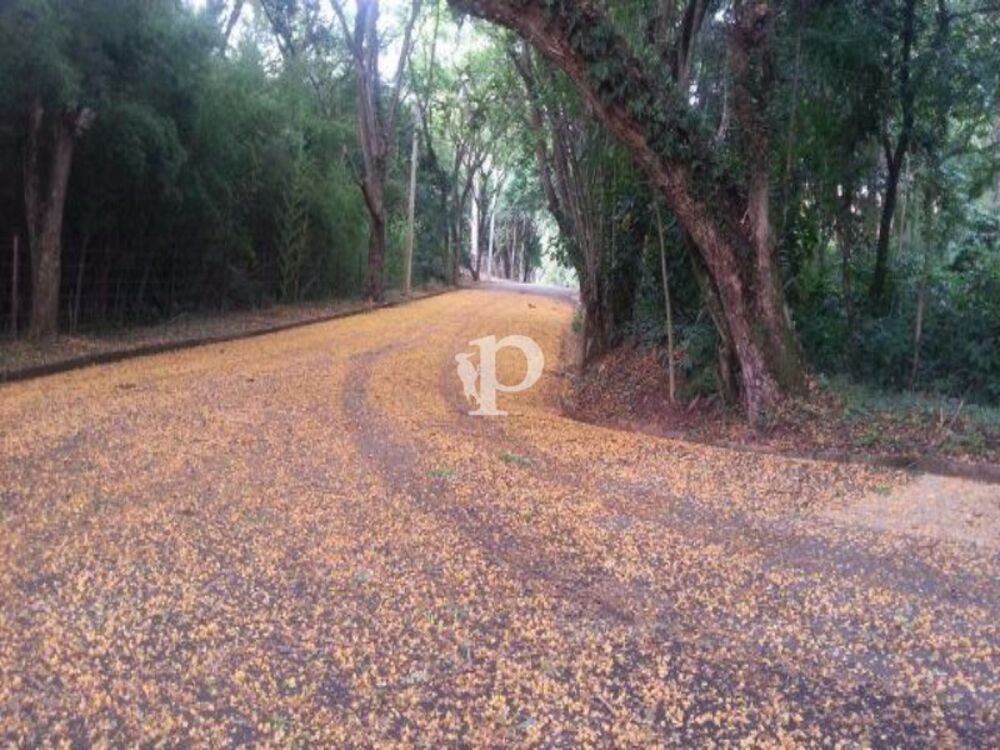 Terreno, 1272 m² - Foto 7