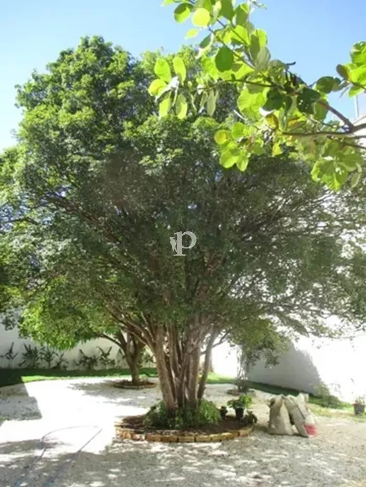 Prédio Inteiro - Foto 13