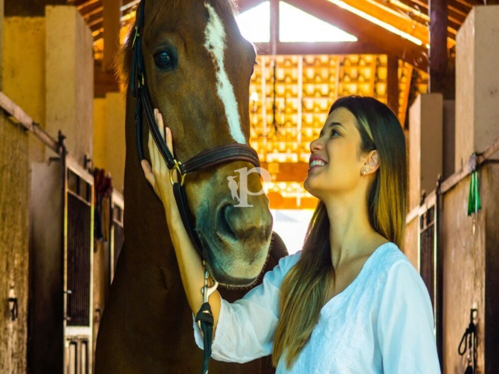 Terreno, 1400 m² - Foto 6