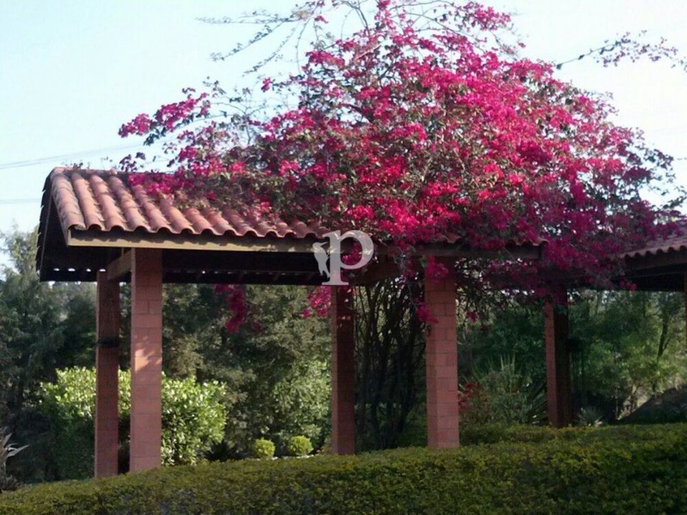 Casa, 4 quartos - Foto 2
