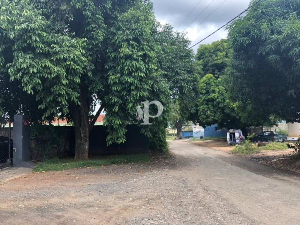 Depósito-Galpão - Foto 7