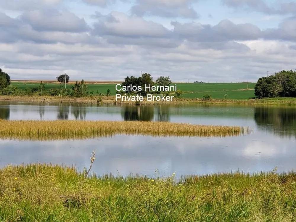 Fazenda - Foto 4