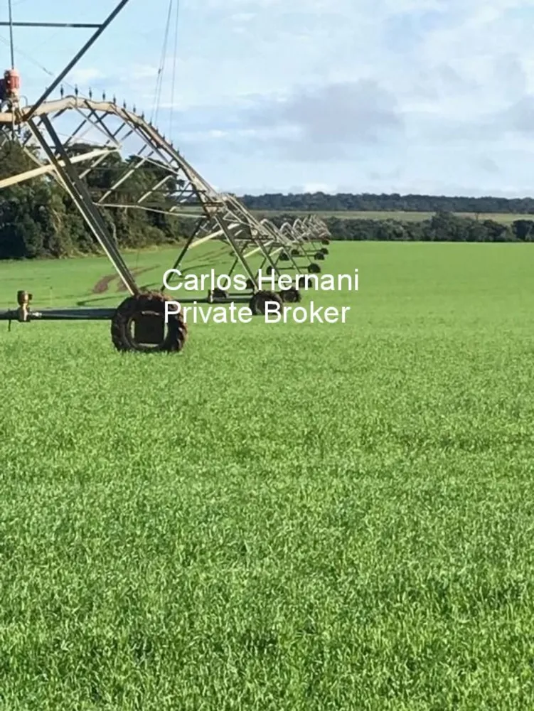Fazenda - Foto 7