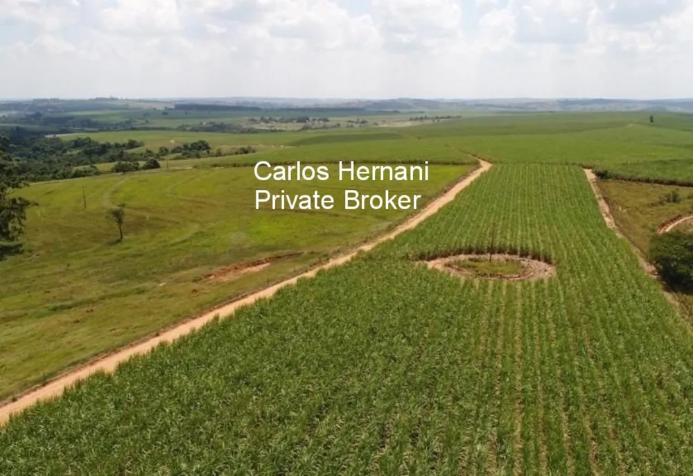 Fazenda, 440 hectares - Foto 8