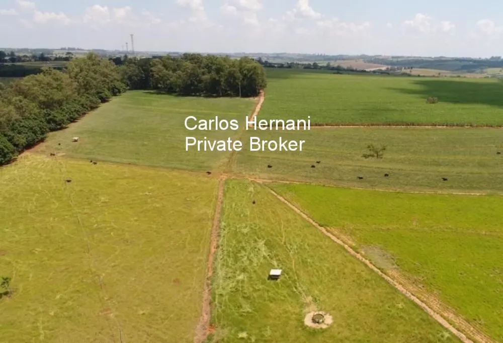 Fazenda, 440 hectares - Foto 4