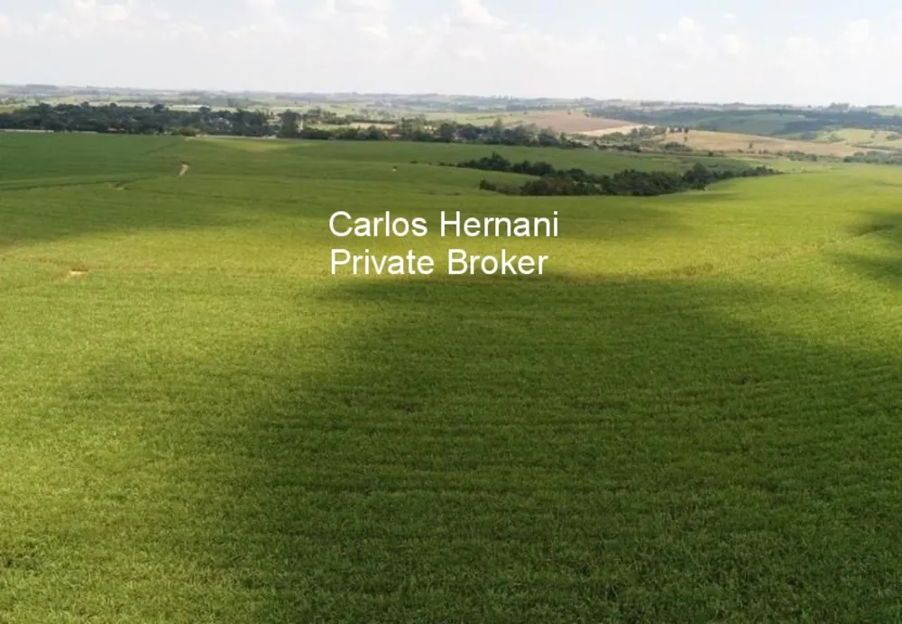 Fazenda, 440 hectares - Foto 7