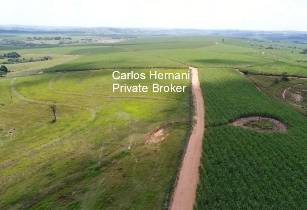 Fazenda, 440 hectares - Foto 9