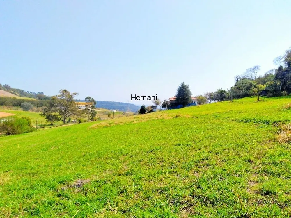 Sítio, 3 quartos, 48800 m² - Foto 2