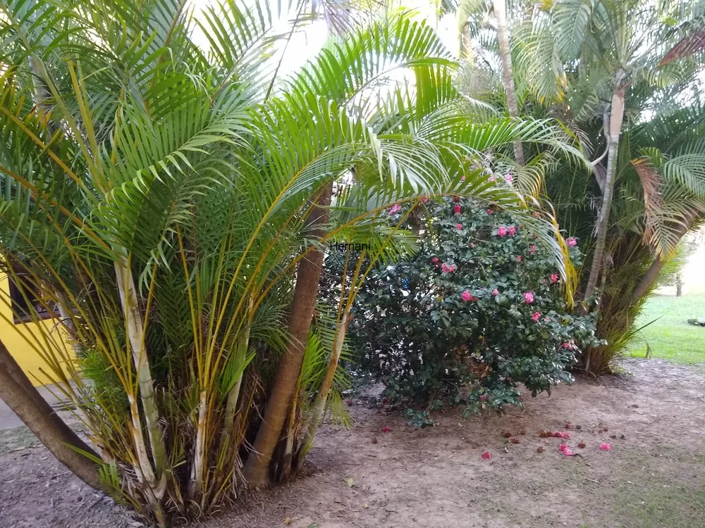 Chácara, 10 quartos - Foto 12