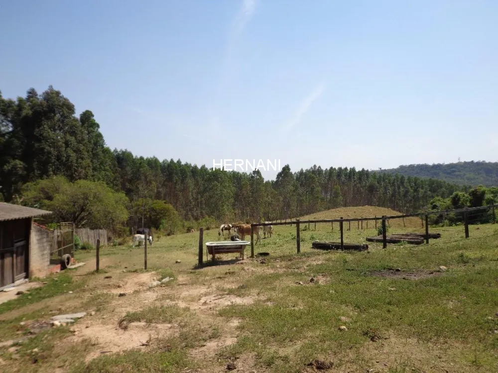 Sítio, 5 quartos, 11 hectares - Foto 1