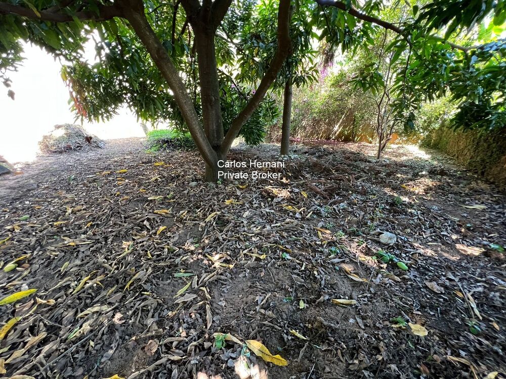 Terreno, 1600 m² - Foto 4