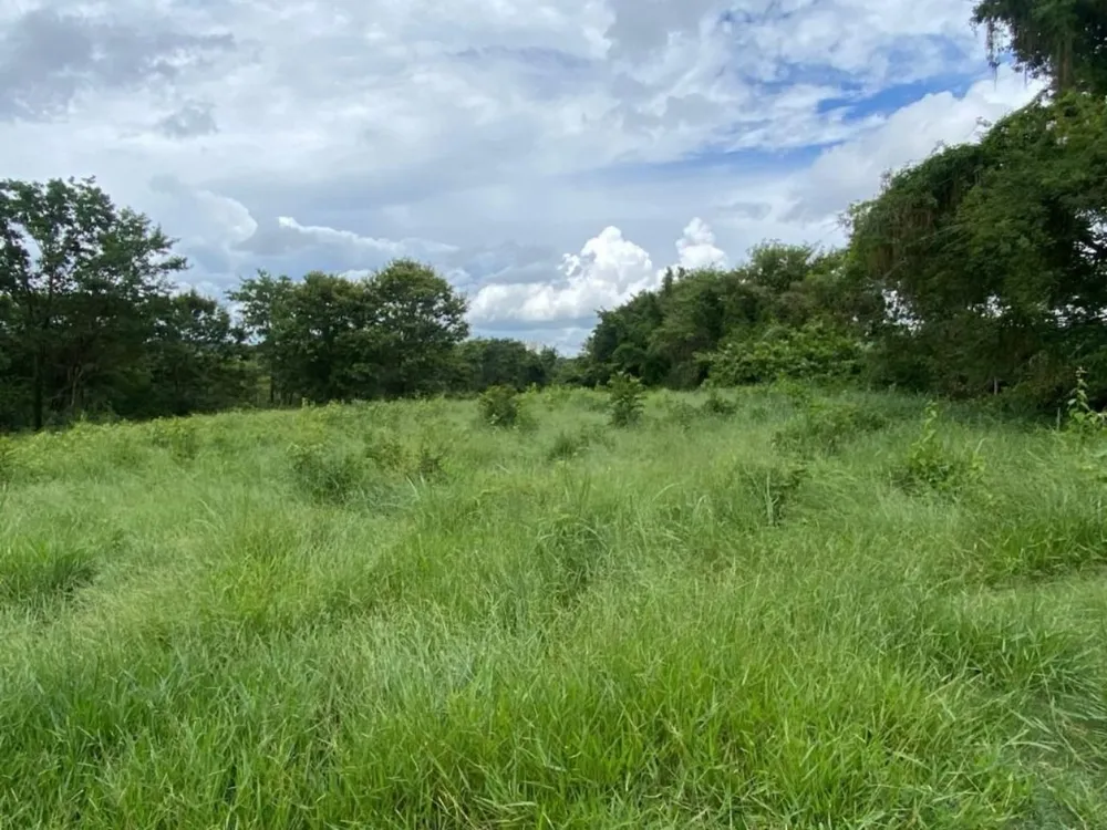 Terreno, 7000 m² - Foto 3