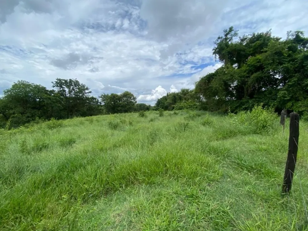 Terreno, 7000 m² - Foto 4