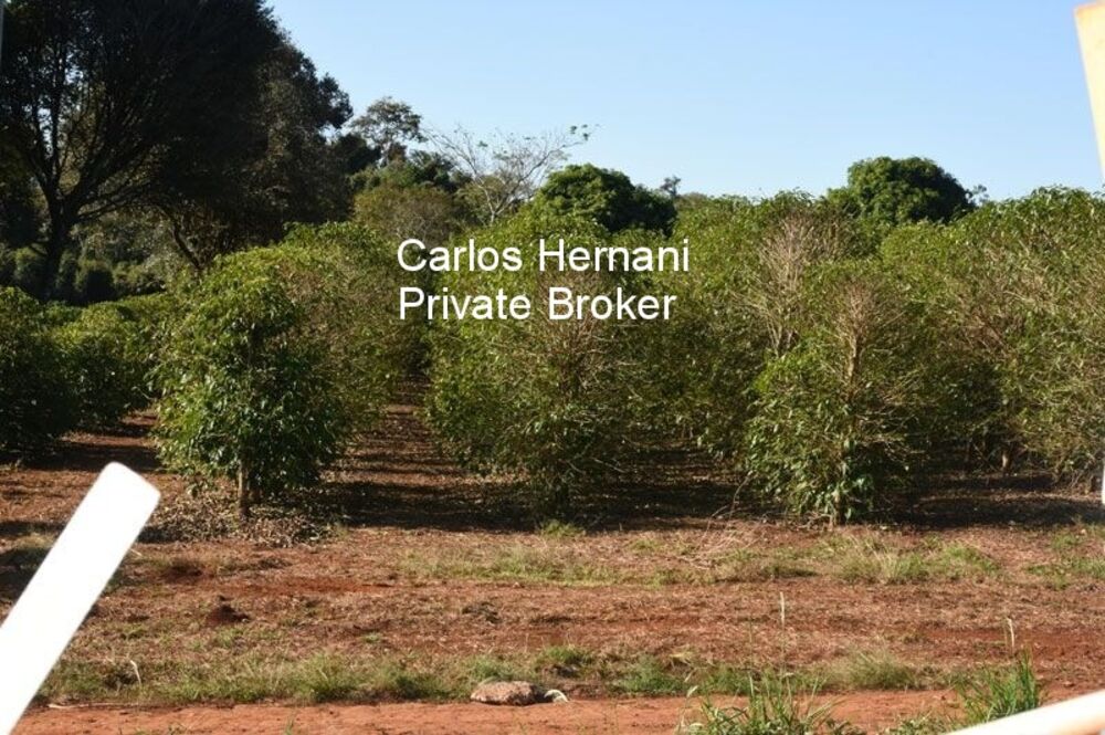 Sítio, 36 hectares - Foto 3