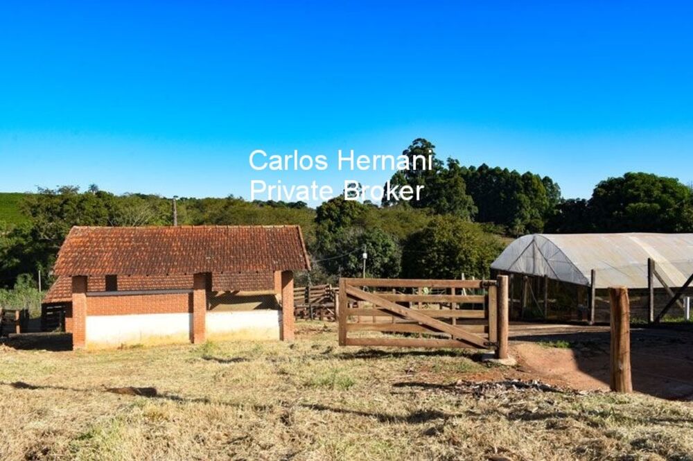 Sítio, 36 hectares - Foto 2