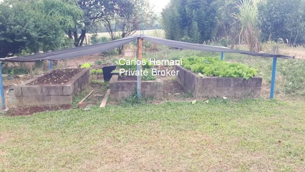 Sítio - Foto 5