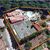 Casa, 5 quartos, 790 m² - Foto 1