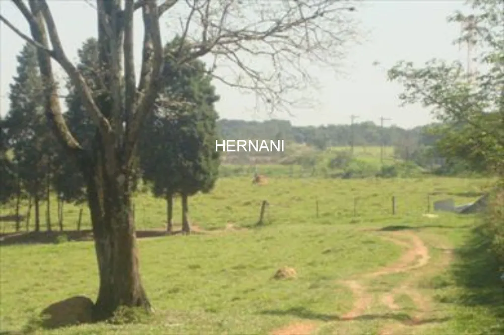 Terreno, 9 hectares - Foto 7