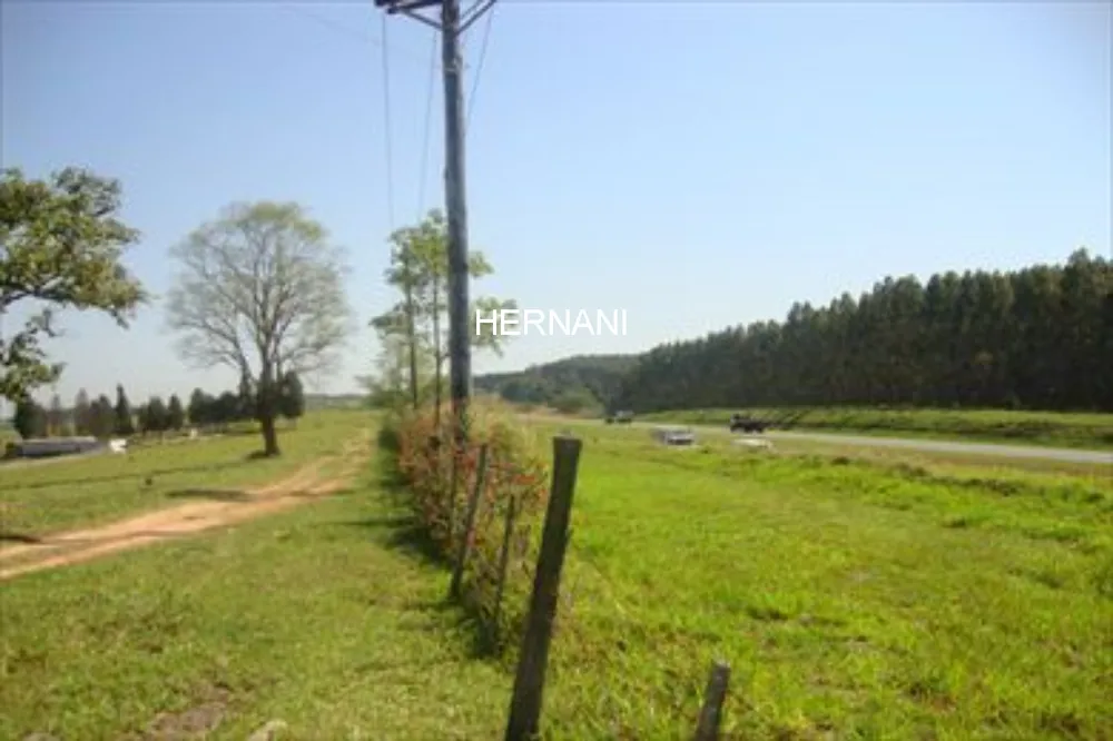 Terreno, 9 hectares - Foto 2