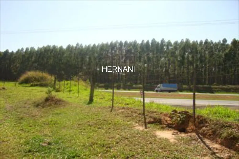 Terreno, 9 hectares - Foto 8