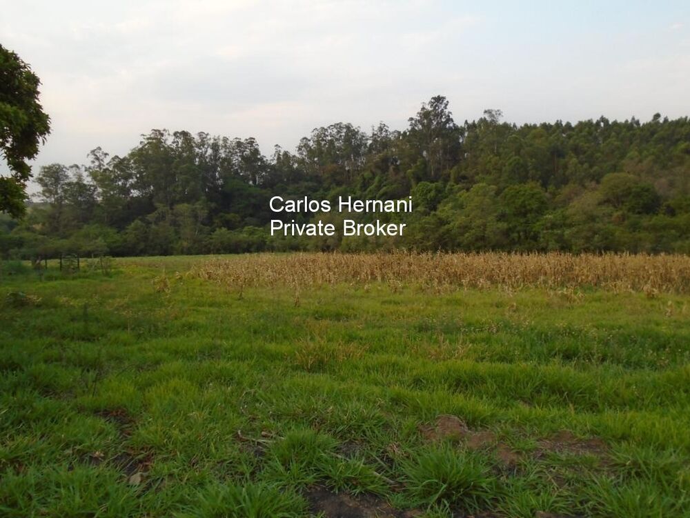 Sítio, 4 quartos - Foto 2