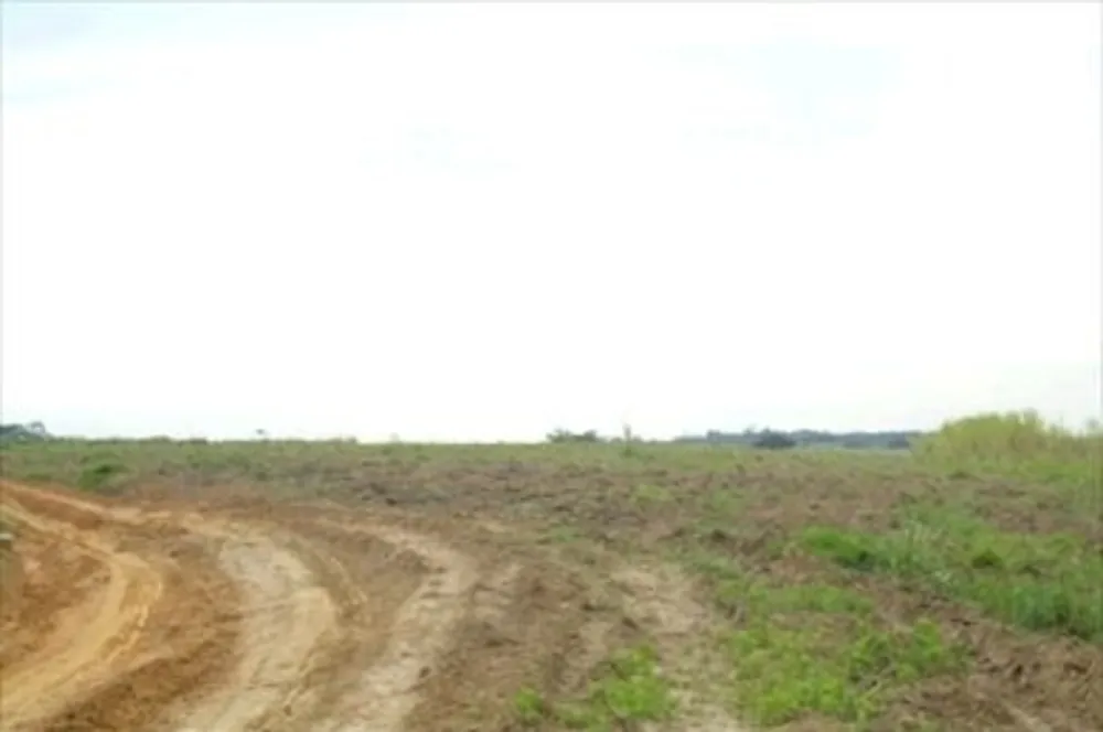 Sítio, 97 hectares - Foto 8