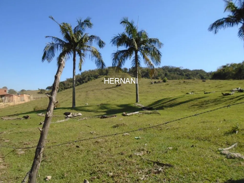 Sítio, 34 hectares - Foto 4