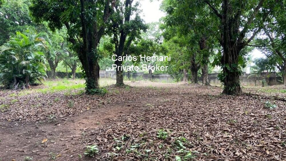 Terreno, 1450 m² - Foto 1