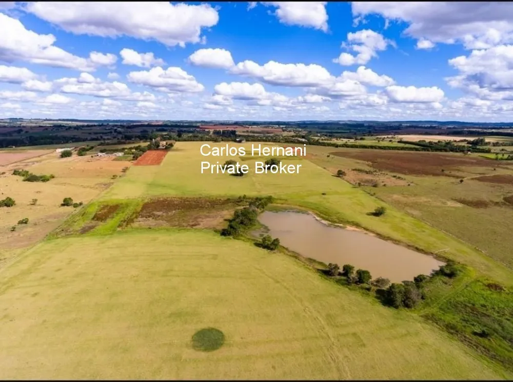 Fazenda, 136 hectares - Foto 11