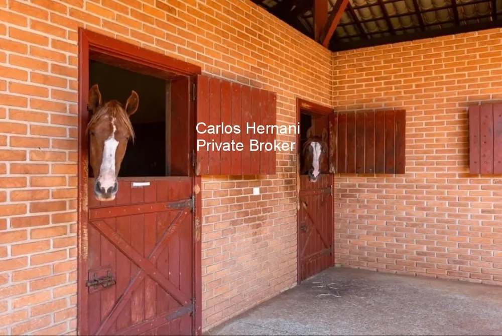 Fazenda, 136 hectares - Foto 2