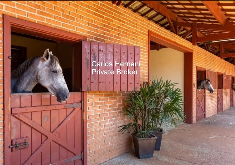 Fazenda, 136 hectares - Foto 4