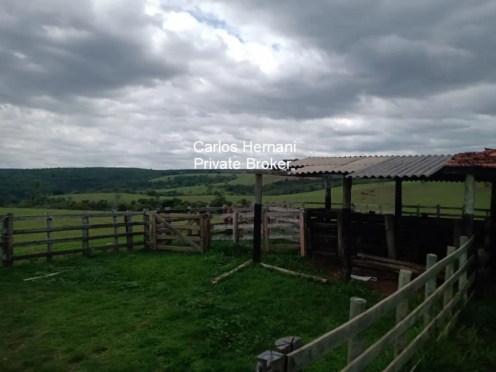Fazenda - Foto 3