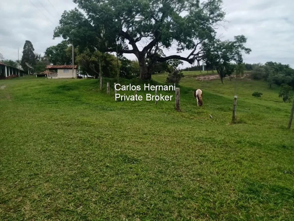 Fazenda - Foto 4