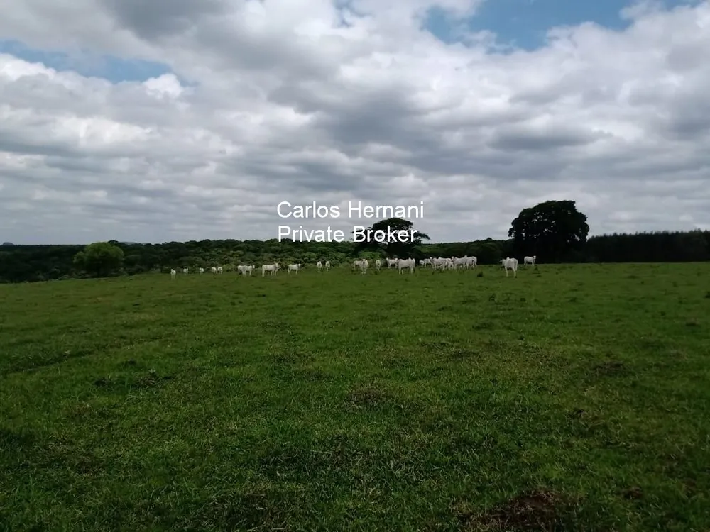 Fazenda - Foto 11