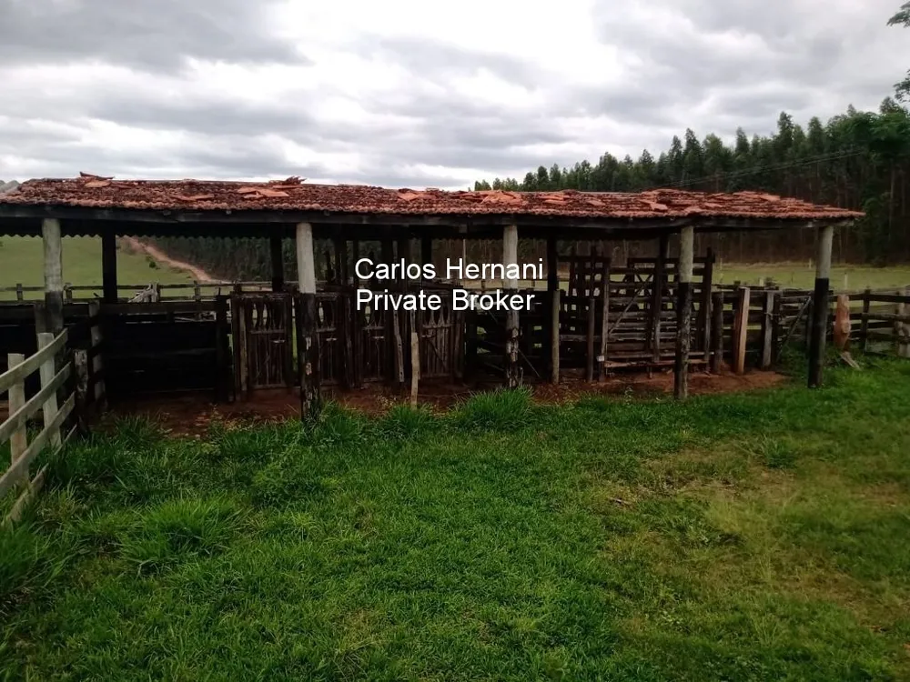 Fazenda - Foto 13