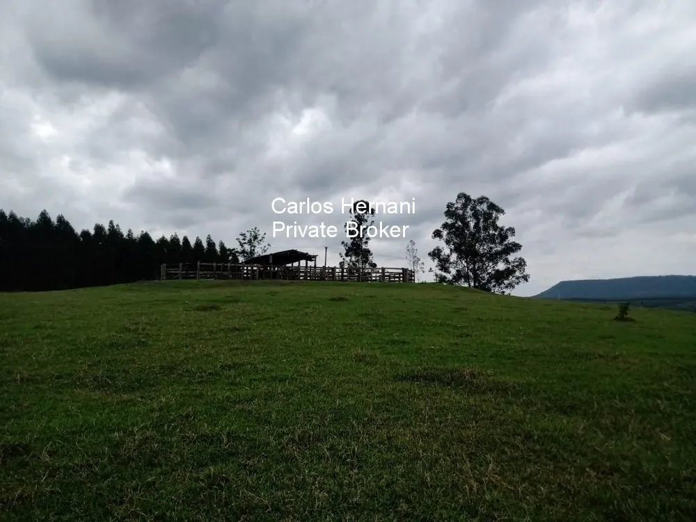 Fazenda - Foto 5