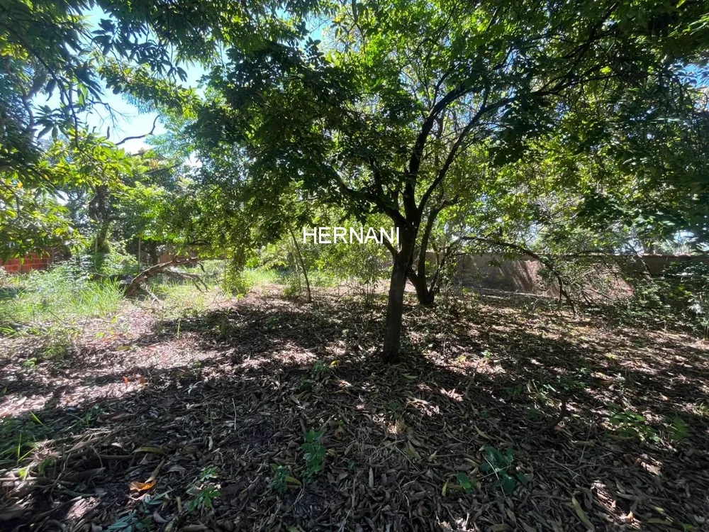 Chácara, 937 m² - Foto 3