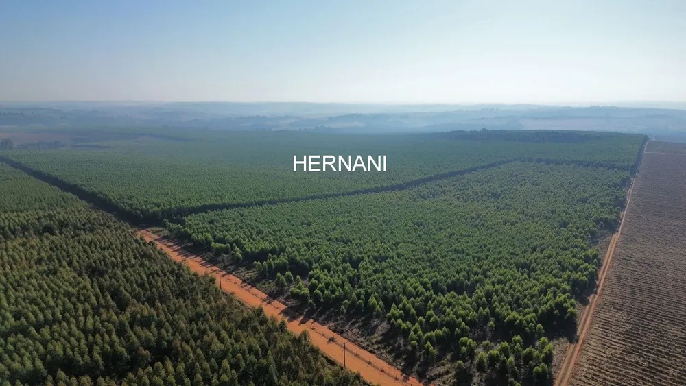 Fazenda, 777 hectares - Foto 4