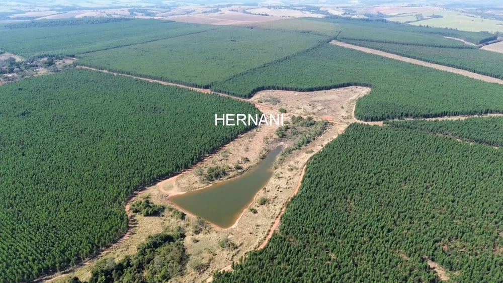 Fazenda, 777 hectares - Foto 2