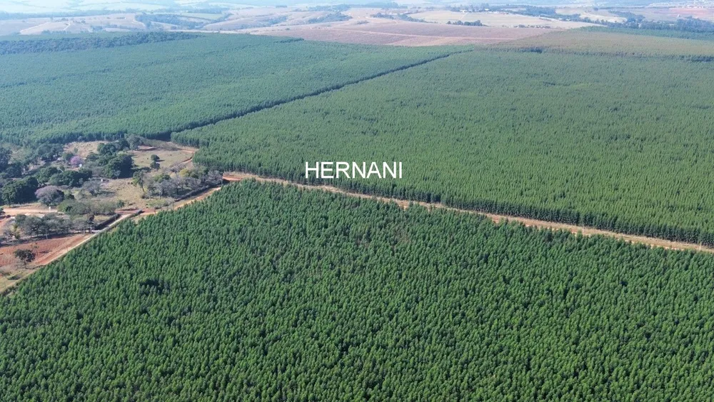 Fazenda, 777 hectares - Foto 3